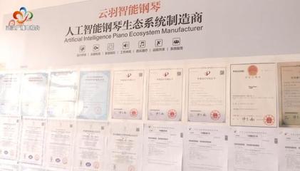 银发创业传奇 倾尽家产铸琴魂，两年破两亿的跨界逆袭